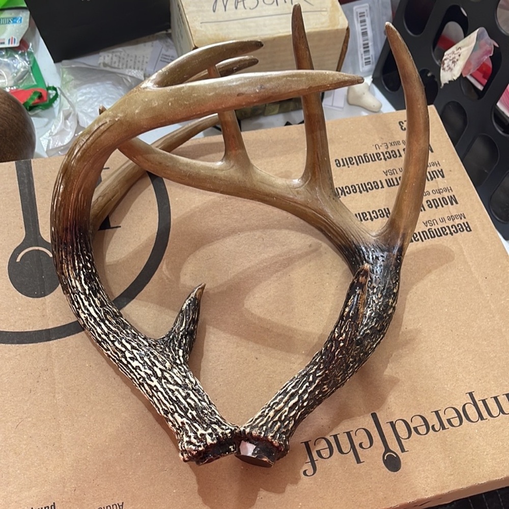 Rustic Deer Antler Decor